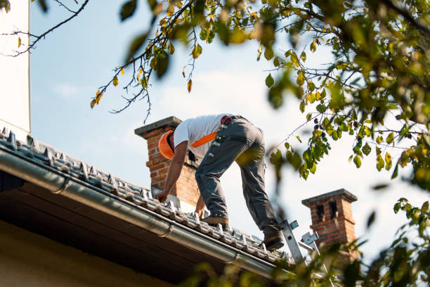 Quick and Trustworthy Emergency Roof Repair Services in Ocilla, GA