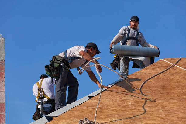 Quick and Trustworthy Emergency Roof Repair Services in Ocilla, GA