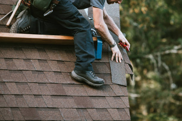 Best New Roof Installation  in Ocilla, GA