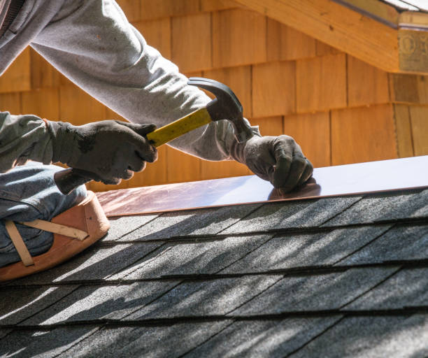 Best Residential Roofing Contractor  in Ocilla, GA